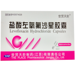 嘉兴Levofloxacin hydrochloride capsule